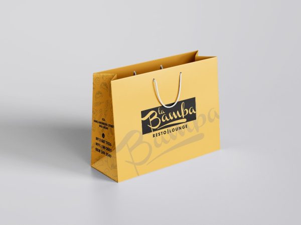 a3 carrier bag